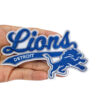 Detroit Lions
