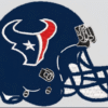 Houston Texans