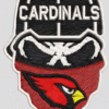 Arizona Cardinals