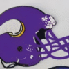 Minnesota Vikings