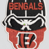 Cincinnati Bengals